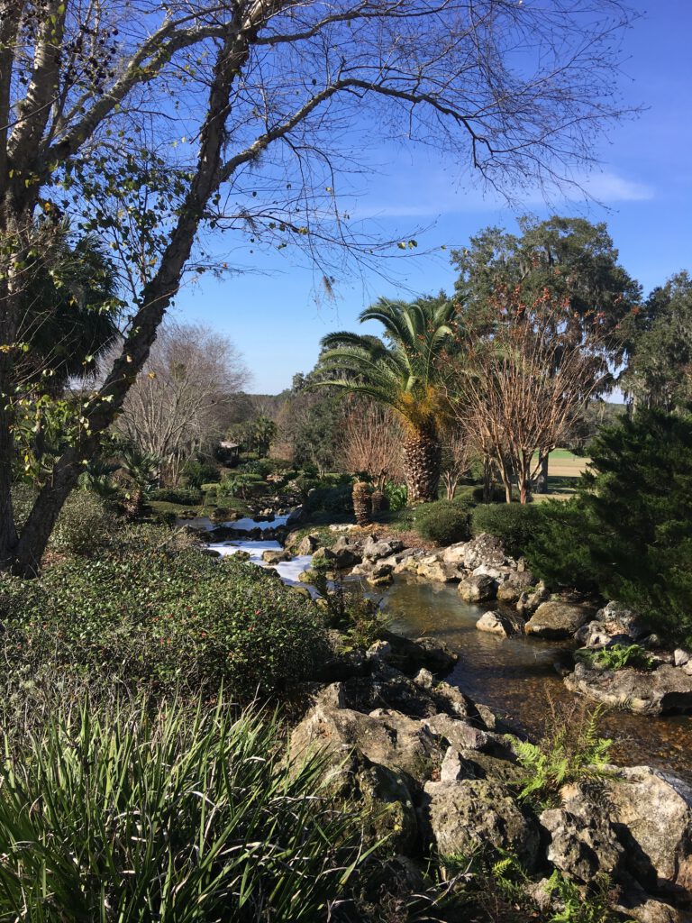 Lake and water feature managed by Aqua Plant Control
