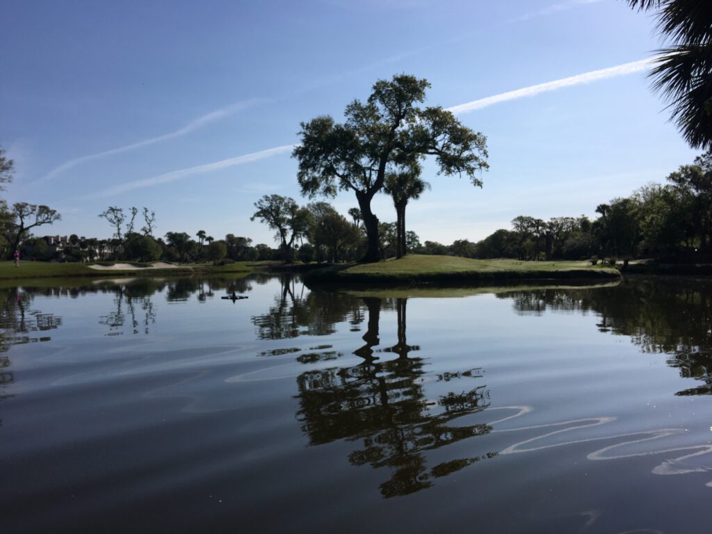 Pond construction