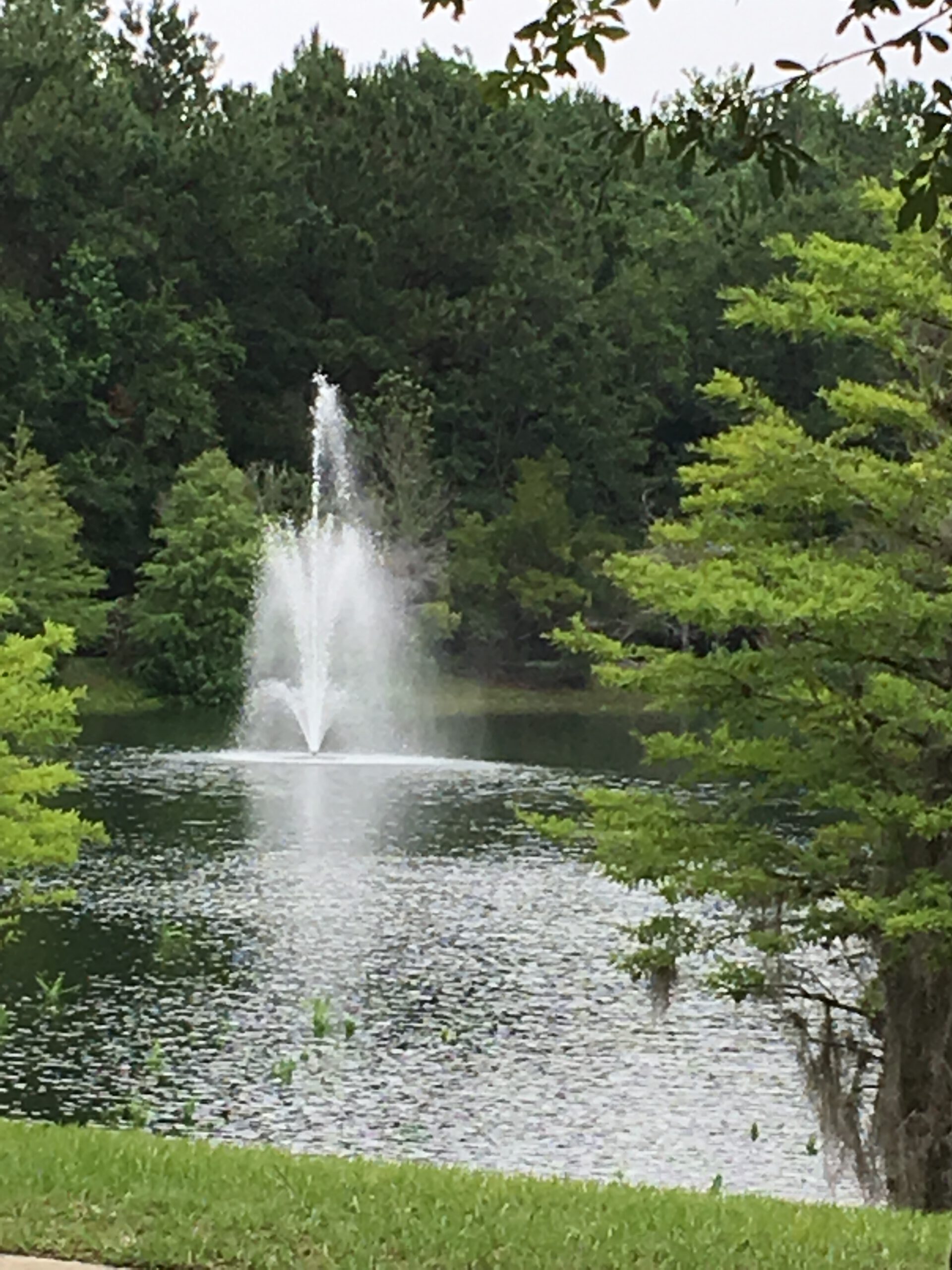 HOA pond with fountain