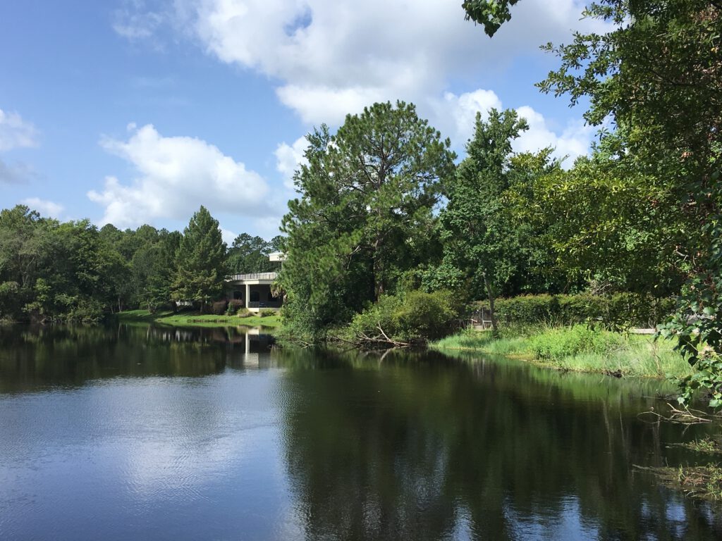 Pond reconstruction