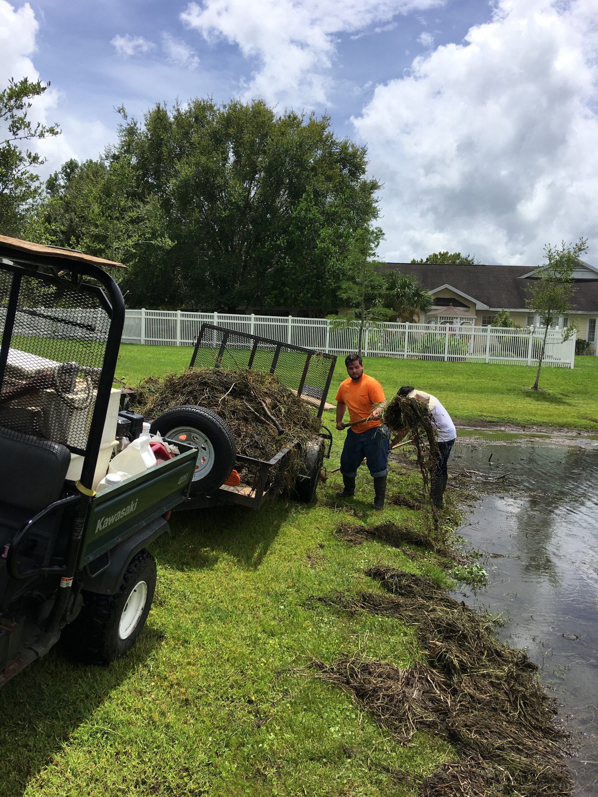 During treatment — crew removing weeds