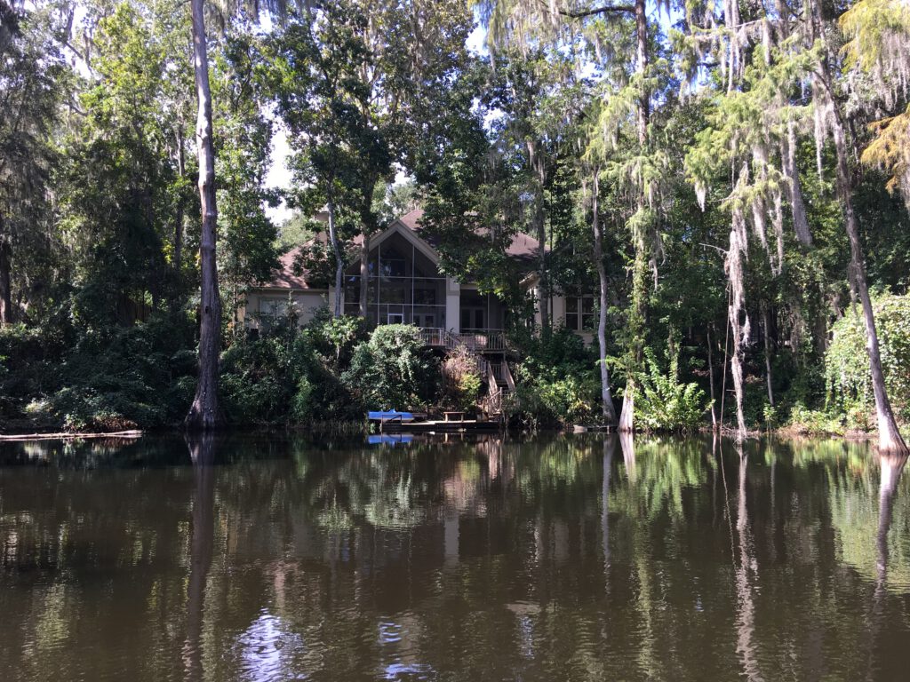 Aquatic plant management