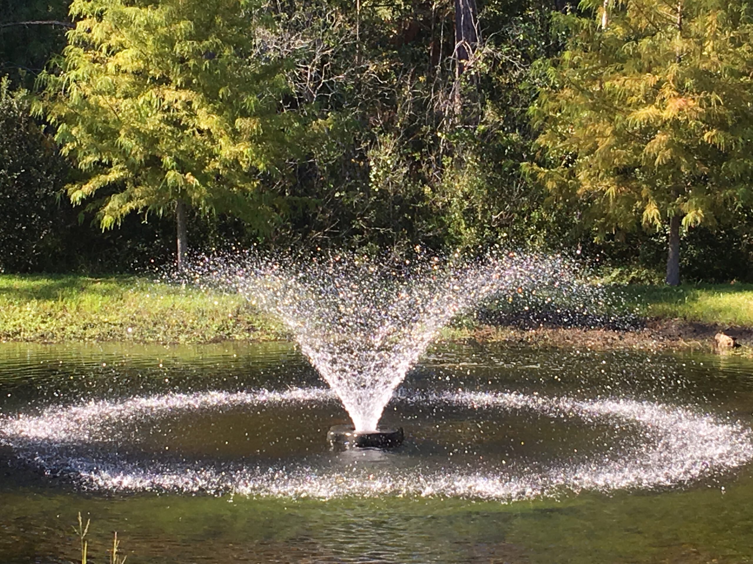 Custom water feature
