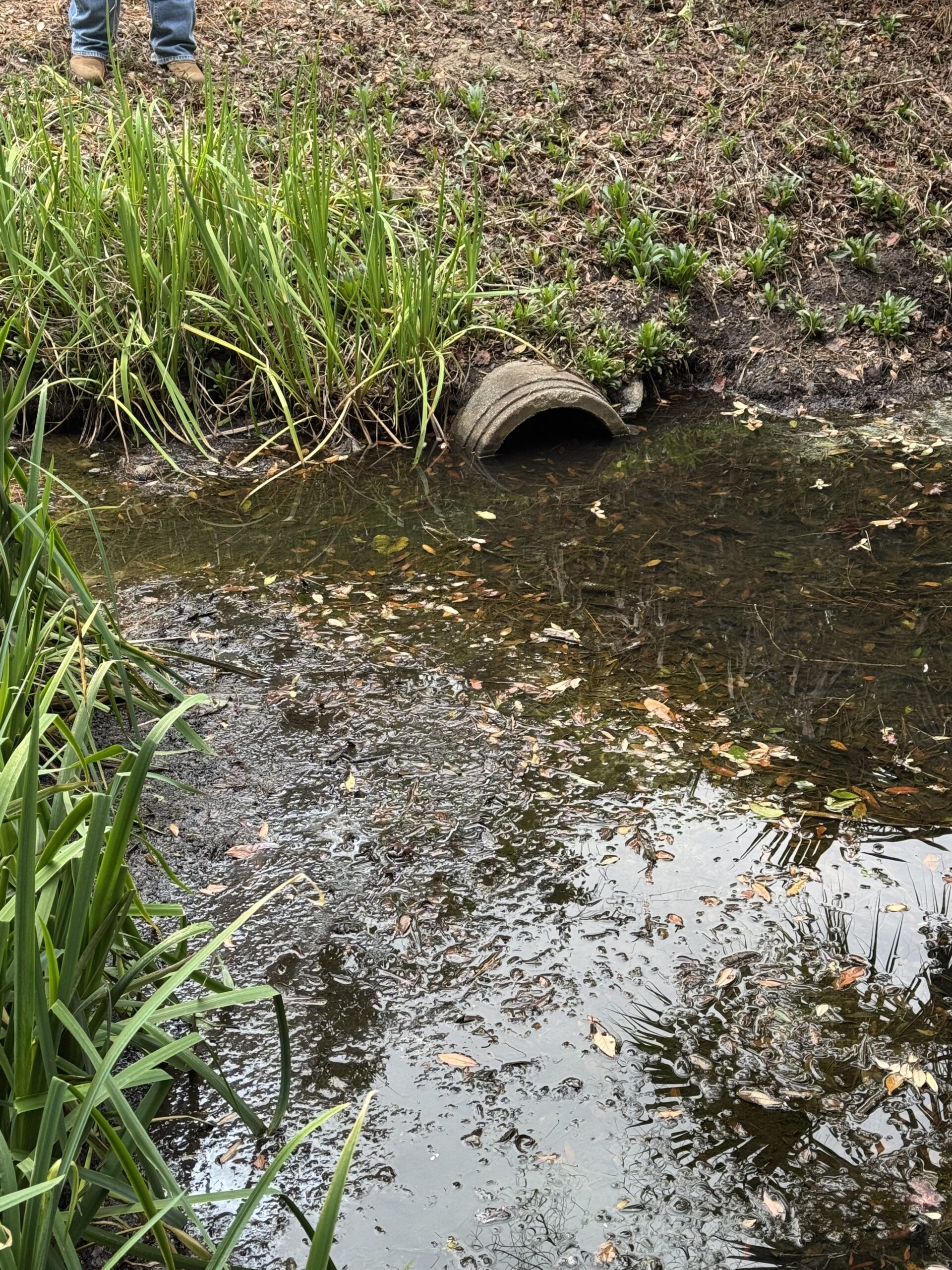 Clogged outflow pipe in need of dredging