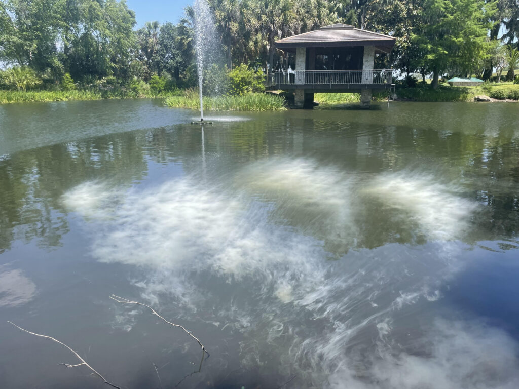 Pond with algae bloom starting to spread around a fountain