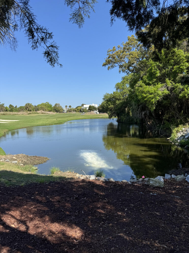 Golf course lake under management